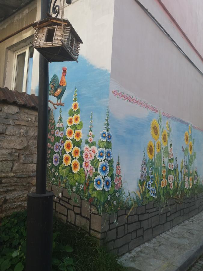 Уютные Апартаменты В Самом Сердце Старого Города Kamianets-Podilskyi Exterior foto